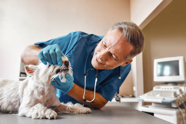 Best Emergency Dental Surgery in Lamoni, IA